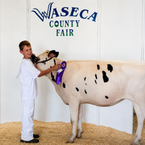 Boy with cow