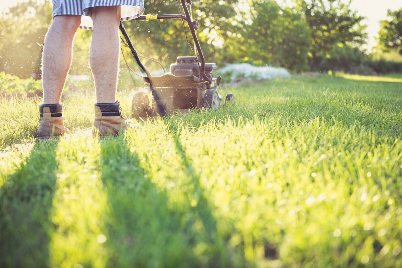 Lawn Mowing Tips to Ease Allergies – Mankato Clinic